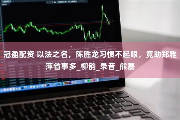 冠盈配资 以法之名，陈胜龙习惯不起眼，竟助郑雅萍省事多_柳韵_录音_熊磊
