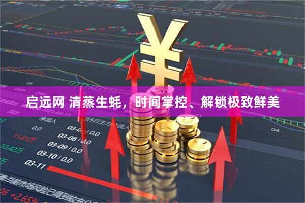 启远网 清蒸生蚝，时间掌控、解锁极致鲜美